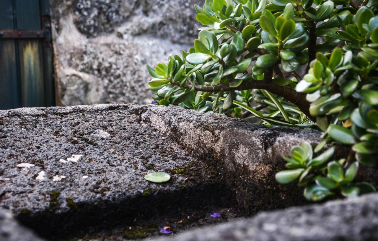 Quinta Dos Frutos Villa Santa Cruz da Graciosa Bagian luar foto