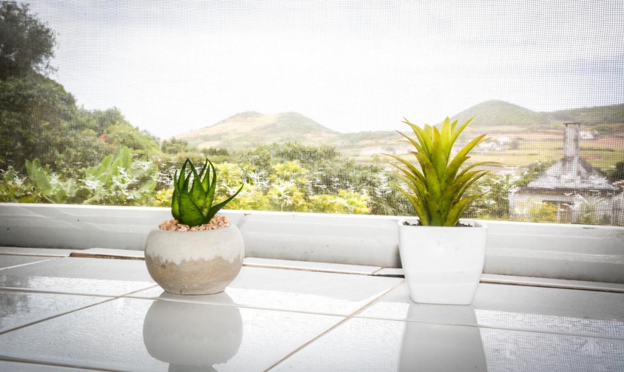 Quinta Dos Frutos Villa Santa Cruz da Graciosa Bagian luar foto