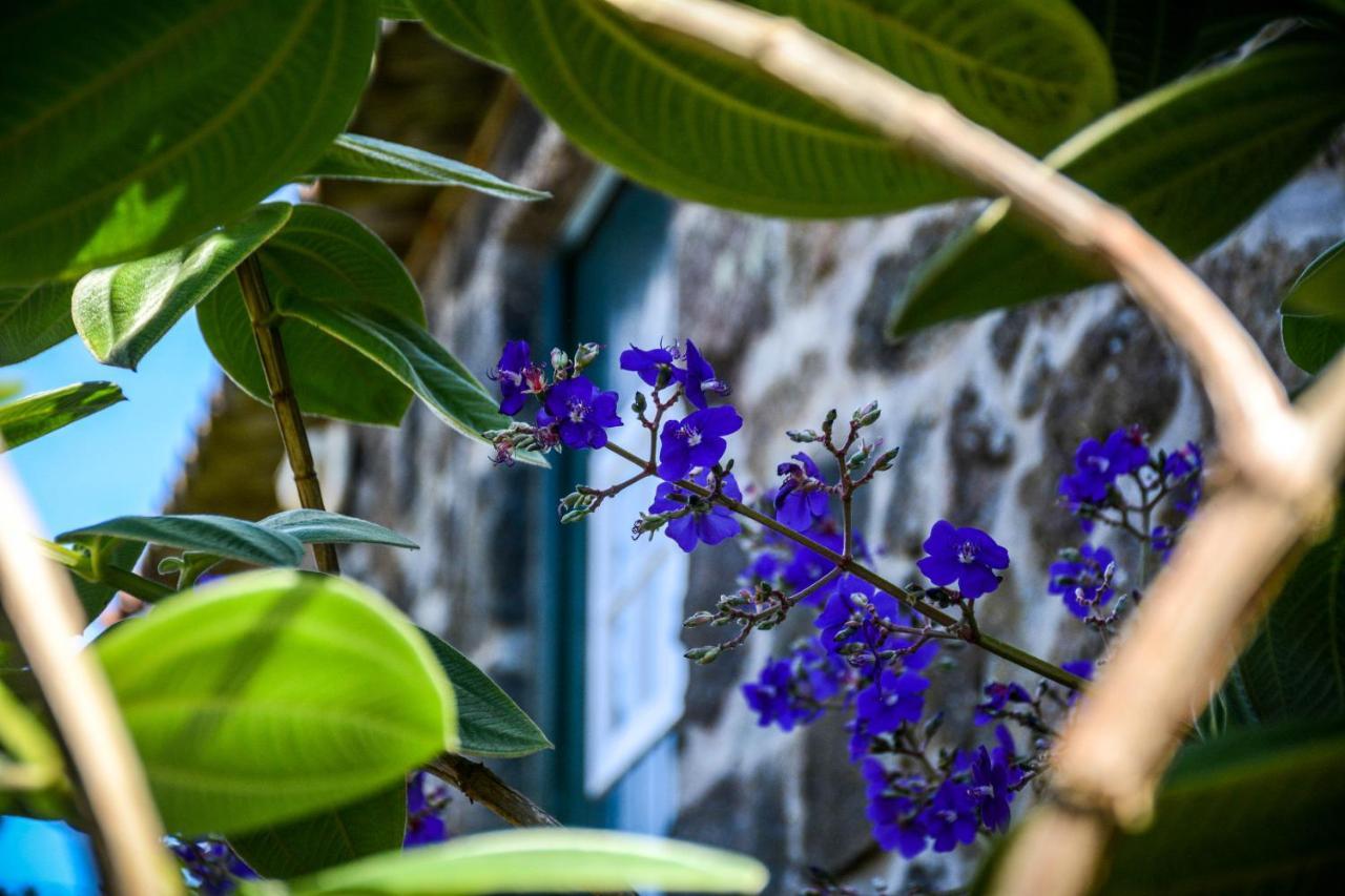 Quinta Dos Frutos Villa Santa Cruz da Graciosa Bagian luar foto