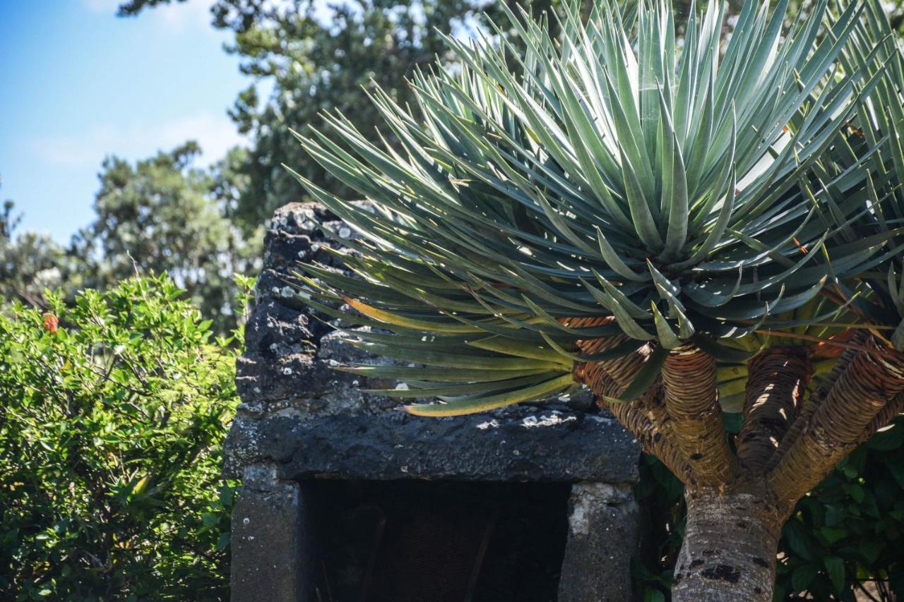 Quinta Dos Frutos Villa Santa Cruz da Graciosa Bagian luar foto